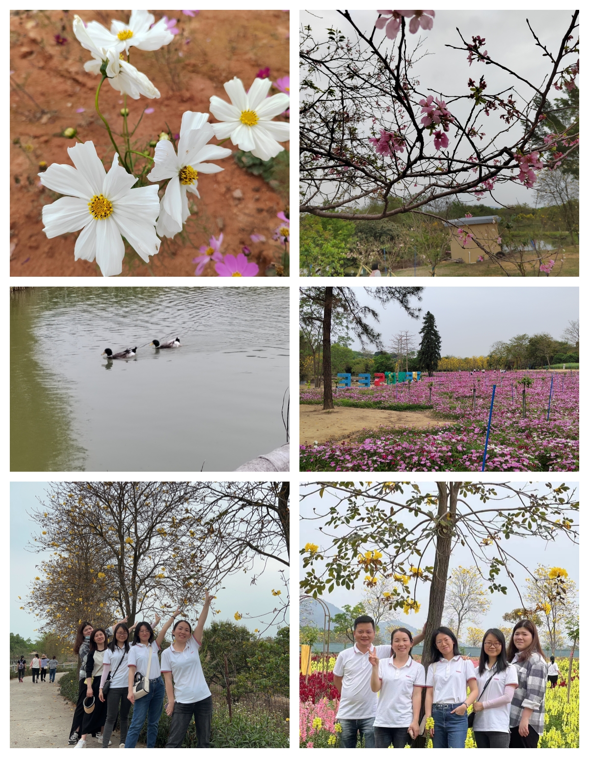 微信圖片_20230322111541_副本.jpg 微信圖片_20230322111541_副本.jpg